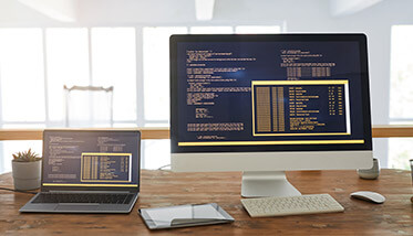 Custom Software Development Services